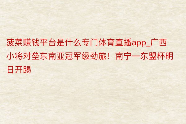 菠菜赚钱平台是什么专门体育直播app_广西小将对垒东南亚冠军级劲旅！南宁—东盟杯明日开踢